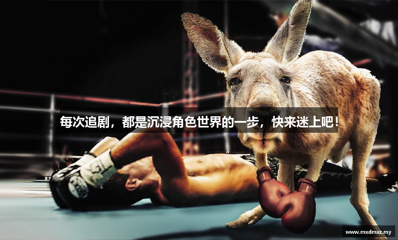 每次追剧，都是沉浸角色世界的一步，快来迷上吧！